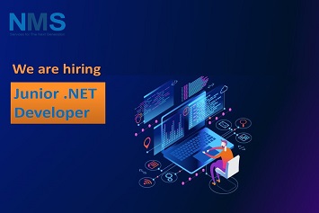 Junior .NET Developer